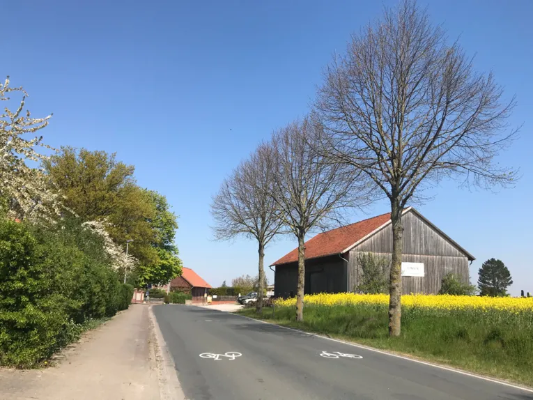 Aufnahme einer Stra&szlig;enansicht mit Vorrichtung speziell f&uuml;r Radfahrende